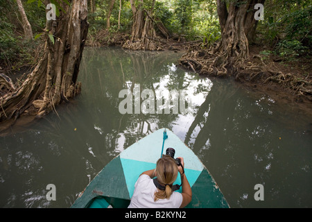 Un turista fotografie il Swampblood alberi lungo il fiume indiano in Dominica s northern foreste pluviali Foto Stock