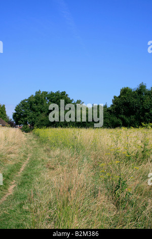 Lungo la North Downs Way National Trail vicino a Guildford nel Surrey Foto Stock