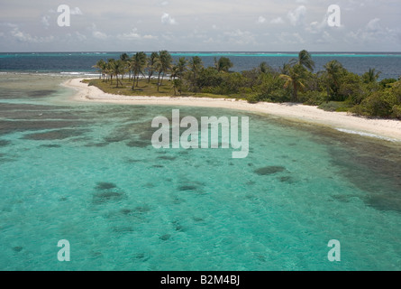 Una veduta aerea di Petit Tabac isola di Tobago Cays St Vincent e Grenadine Foto Stock