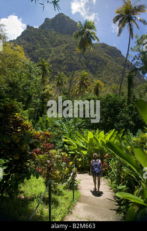 Una donna cammina attraverso il sentiero natura all'acqua calda naturale cade minerale in St Lucia Petit Piton è visibile in distanza Foto Stock