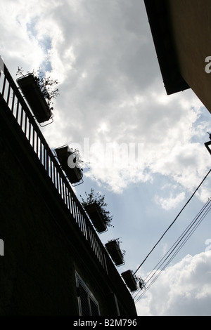 Molti vasi per piante sul tetto contro lo skyline della città Foto Stock