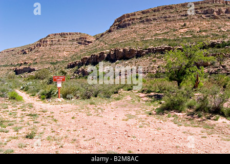 Ultima possibilità canyon sottostante Sitting Bull scende Lincoln National Forest vicino a Carlsbad Eddy Co Nuovo Messico Stati Uniti Foto Stock