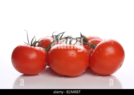 Pomodori rossi sulla vite Foto Stock