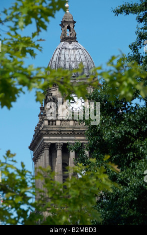 Leeds town hall clock tower visto al di là di fogliame Foto Stock