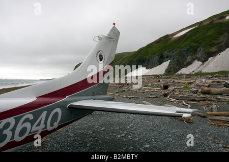 Til di coda di un Cessna su una spiaggia con driftwood. Foto Stock