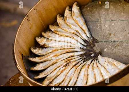 Scatola di sardine fresche per la vendita sul mercato del contadino in Sineu, Maiorca, isole Baleari, Spagna Foto Stock