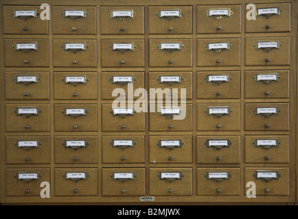 Scheda di legno scatola archiviazione sistema in biblioteca Foto Stock