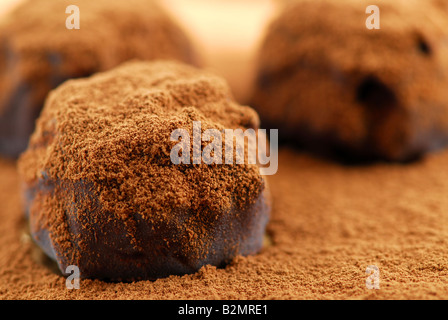 Macro di tartufi di cioccolato fondente cosparsi di cacao in polvere Foto Stock