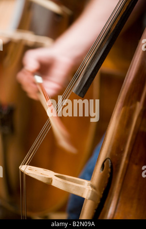 Bass violin player Foto Stock