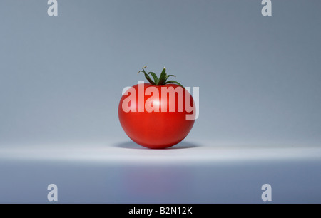 1 Red Tomato Foto Stock