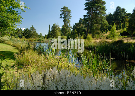 Il lago a Bedgebury Pinetum, Kent Foto Stock