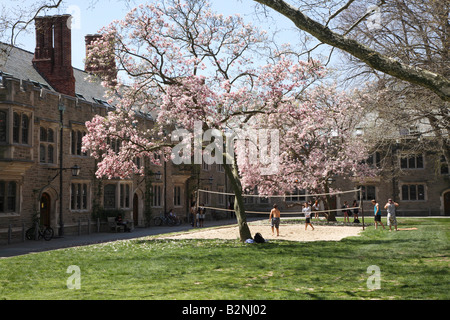 Campo da pallavolo in fioritura rosa magnolia con diversi giovani uomini a giocare. Blair Hall Princeton University Foto Stock