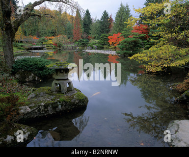 Giardino giapponese del tè università di Washington arboretum con lanterna di pietra e piccolo laghetto riflessioni a Seattle nello Stato di Washington Foto Stock