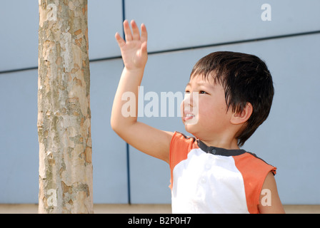 Il Toddler toccando tronco di albero curiosamente Foto Stock
