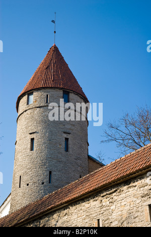 La parete della città, con un certo numero di torri lungo la sua lunghezza, circonda il ben conservato centro storico medievale di Tallinn, Estonia. Foto Stock