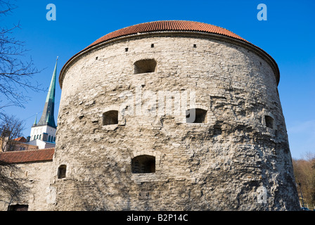 Fat Margaret Torre Canon (Paks Margareeta), all'estremità nord della città vecchia di Tallinn, Estonia. Foto Stock