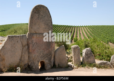 Rimane storico accanto a un vigneto in Sardegna Foto Stock