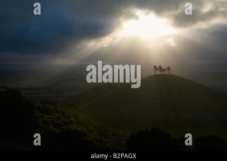 Colmer's Hill e il Marshwood Vale Dorset Inghilterra Foto Stock