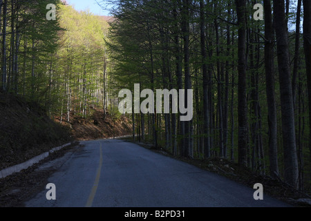 Grecia Macedonia Korifi village strada di un paese attraverso una foresta Foto Stock