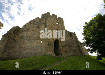 Il castello di Warkworth Foto Stock