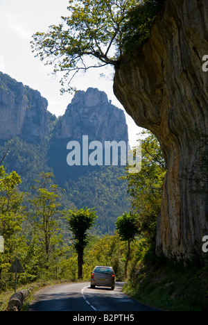 Europa francia Gorges du Tarn fiume Tarn Foto Stock