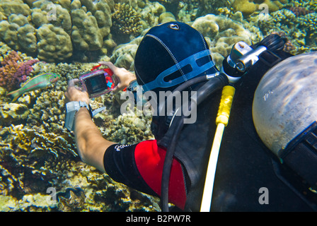 Ragazza donna ella subacqueo del fotografo subacqueo a scattare foto fotocamera piccola e compatta serrati subacqueo Dive rosa lilla viola lila argento Foto Stock