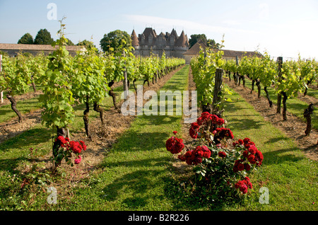 Vigneto, Francia - Chateau de Monbazillac vicino a Bergerac, Dordogne, Francia Foto Stock