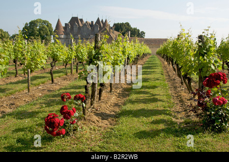 Dordogne : Vigneti a Chateau de Monbazillac vicino a Bergerac, Dordogne, Francia Foto Stock