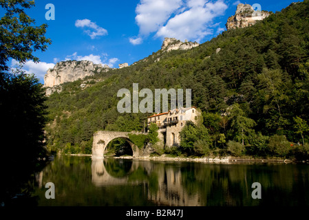 Europa francia Gorges du Tarn Fiume tarn mostuejouls Foto Stock