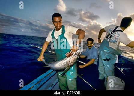 Isola di Ascensione David Vincent Cassel la pesca del tonno Foto Stock