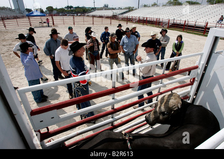 Noi HOMESTEAD Sankey s Rodeo Scuola Cowboys Bullriding ascoltando le loro foto istruttore GERRIT DE HEUS Foto Stock