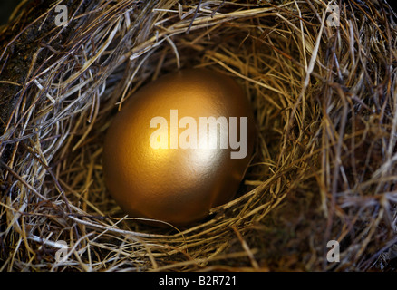 Un uovo dorato in un nido. Foto Stock