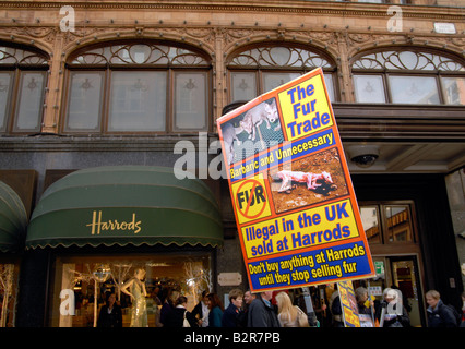 Protesta da parte di CAFT,coalizione per abolire il commercio di pellicce,all'esterno i grandi magazzini Harrods contro la vendita di pellicce,Londra,UK Foto Stock