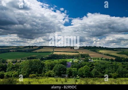 Lavanda presso il castello agriturismo vicino a Sevenoaks in Kent England Regno Unito Foto Stock