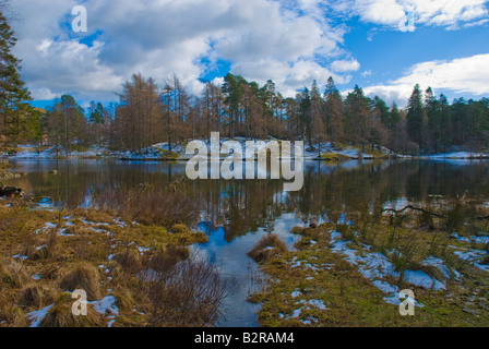 Tarn Hows in inverno Foto Stock