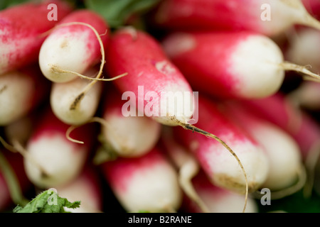 Il ravanello, vegetali, isolato, generi alimentari, generi alimentari, freschezza, Rosso, Mangiare Sano, radice, Verde, organico, alimenti e bevande, isolati su Foto Stock