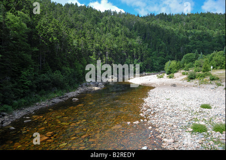 Grande Fiume di salmoni in Fundy Trail Parkway New Brunswick Canada Foto Stock