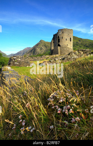 Il mantenere abbandonati di Dolbadarn Castle sulle rive del Llyn Padarn vicino a Llanberis nel parco nazionale di Snowdonia nel Galles del Nord Foto Stock