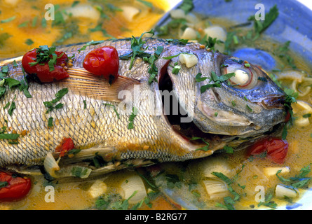 Pezzogna all' aqua pazza, Ristorante Da Camine, Ogliastro Marina, Cilento, Campania, Italia Foto Stock