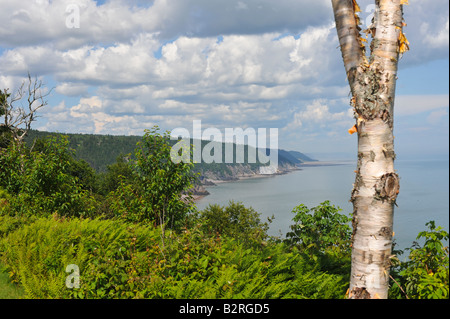 Melvin spiaggia sul Fundy Trail sulla Baia di Fundy New Brunswick Foto Stock