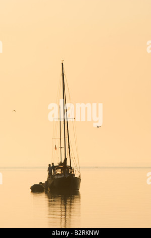 Un giovane su una barca a vela a Tampa Bay Watch the sunrise. Foto Stock