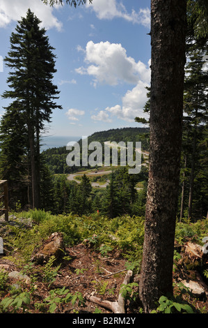 Fundy trail parkway sulla Baia di Fundy costa in New Brunswick Canada Foto Stock