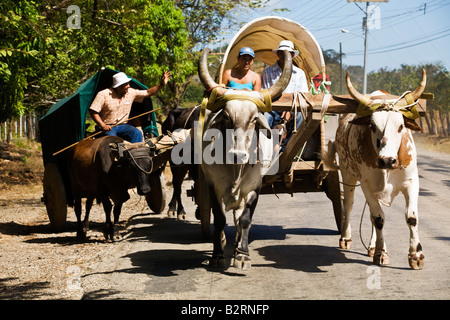 Ox carrelli guida lungo la strada in Guanacaste. Il bue sono tradizionali trasporti in Costa Rica e Guanacaste. Foto Stock