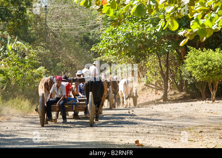 Ox carrelli guida lungo la strada in Guanacaste. Il bue sono tradizionali trasporti in Costa Rica e Guanacaste. Foto Stock