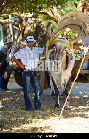 Ox carrelli guida lungo la strada in Guanacaste. Il bue sono tradizionali trasporti in Costa Rica e Guanacaste. Foto Stock