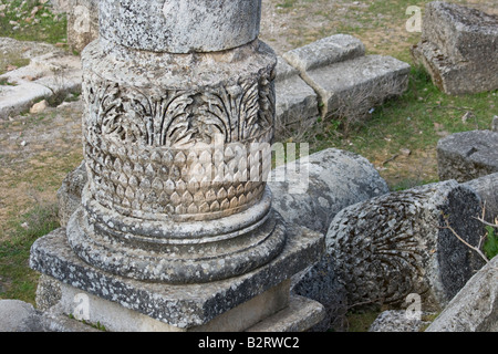 Colonna dettagli in rovine Romane di Apamea in Siria Foto Stock