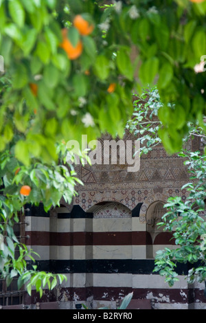 Arancio nel cortile a Beit Dahdah nella città vecchia a Damasco in Siria Foto Stock