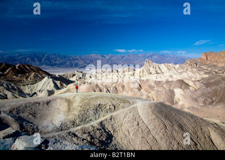 Vista sul Badlands, Valle della Morte da Zabriskie Point, California USA Foto Stock