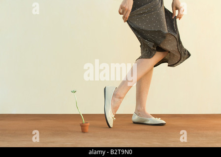 Donna che cammina accanto a pianta in vaso, tenendo gonna, vista ritagliata Foto Stock