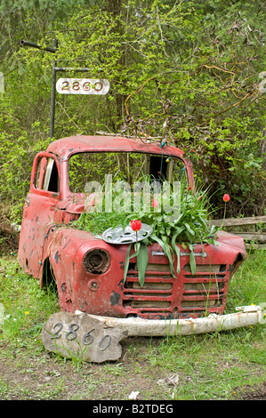 Vecchio Automobile convertito in un giardino di piante supporto display Gabriola Island BC Canada Foto Stock